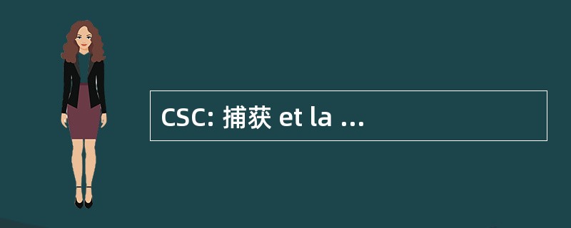 CSC: 捕获 et la SÃ © questration du Co2