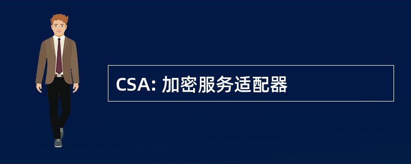 CSA: 加密服务适配器