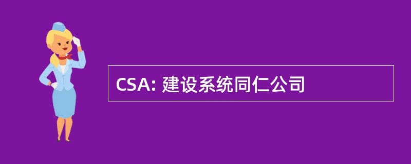 CSA: 建设系统同仁公司