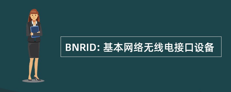 BNRID: 基本网络无线电接口设备