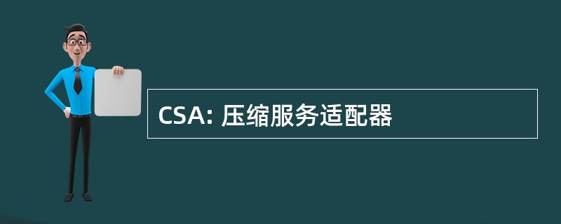 CSA: 压缩服务适配器