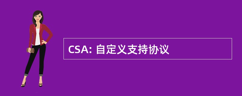 CSA: 自定义支持协议