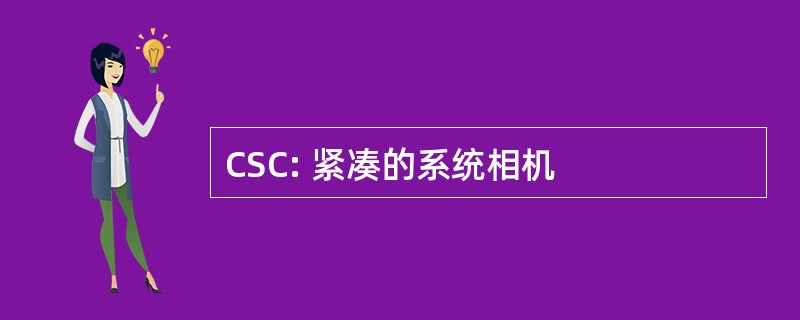 CSC: 紧凑的系统相机