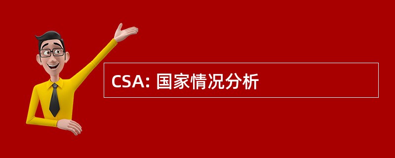 CSA: 国家情况分析