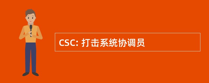 CSC: 打击系统协调员