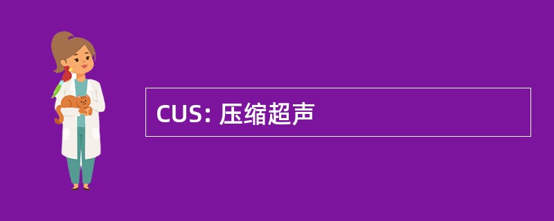 CUS: 压缩超声