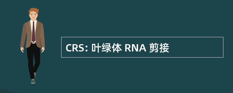 CRS: 叶绿体 RNA 剪接