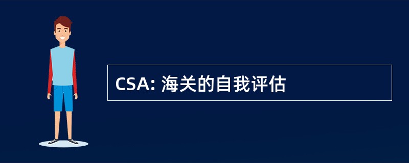 CSA: 海关的自我评估