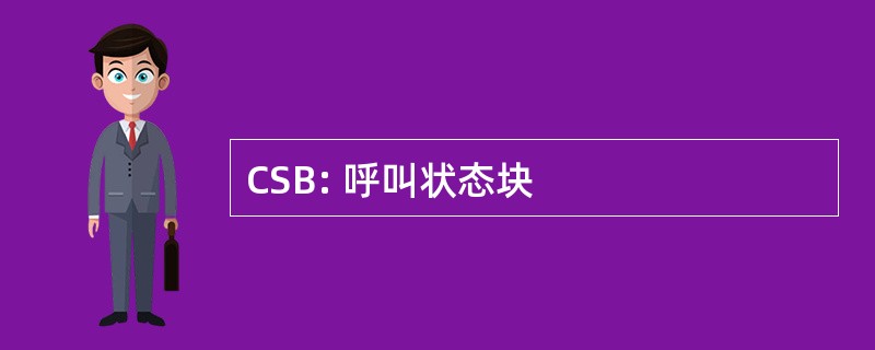 CSB: 呼叫状态块