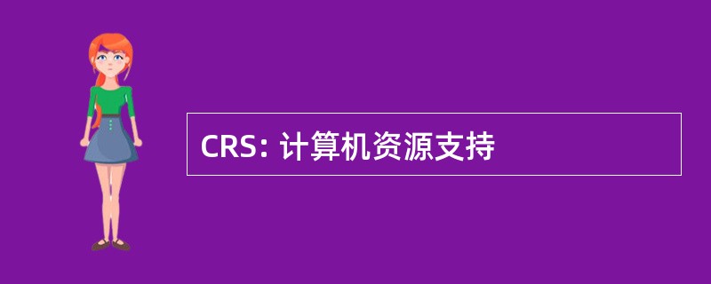 CRS: 计算机资源支持