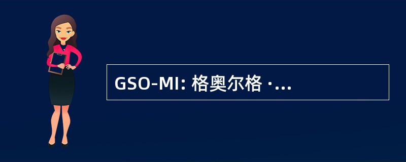 GSO-MI: 格奥尔格 · Simon 欧姆管理研究所