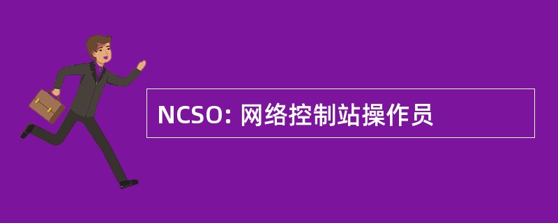 NCSO: 网络控制站操作员