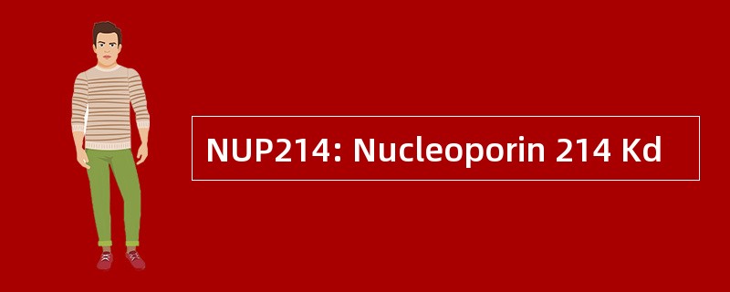 NUP214: Nucleoporin 214 Kd