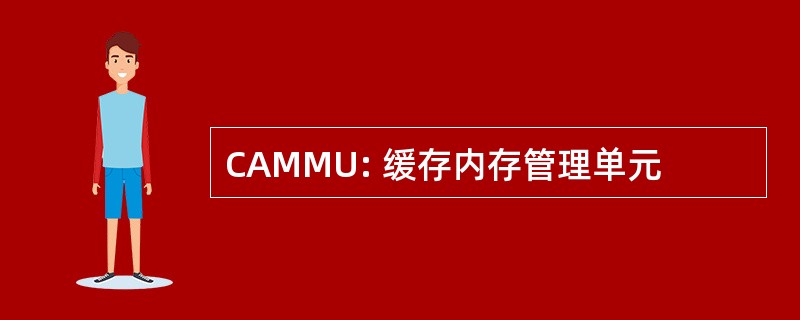 CAMMU: 缓存内存管理单元