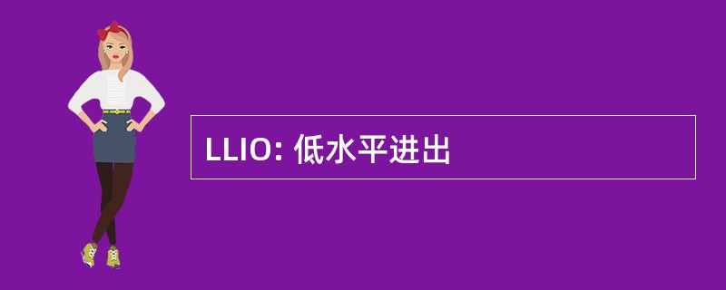 LLIO: 低水平进出