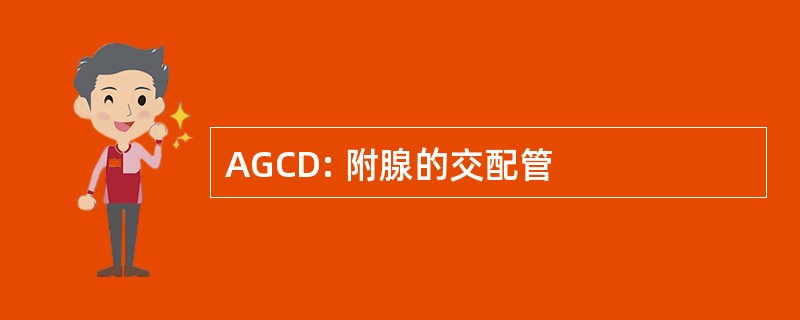 AGCD: 附腺的交配管