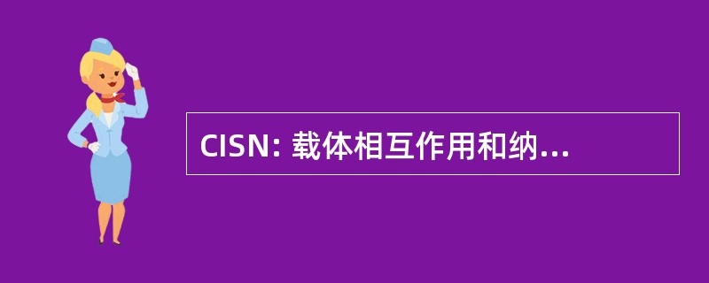 CISN: 载体相互作用和纳米结构中的自旋电子学