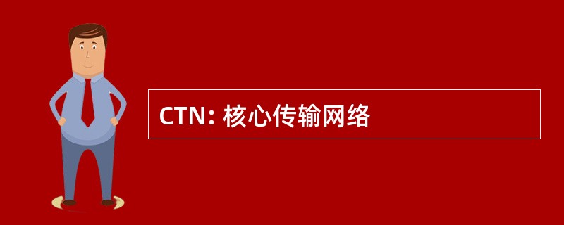 CTN: 核心传输网络