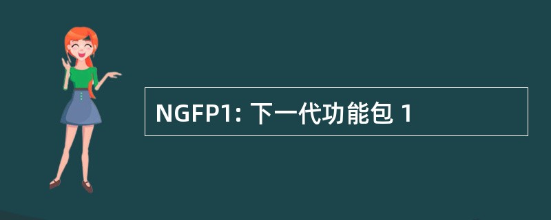 NGFP1: 下一代功能包 1