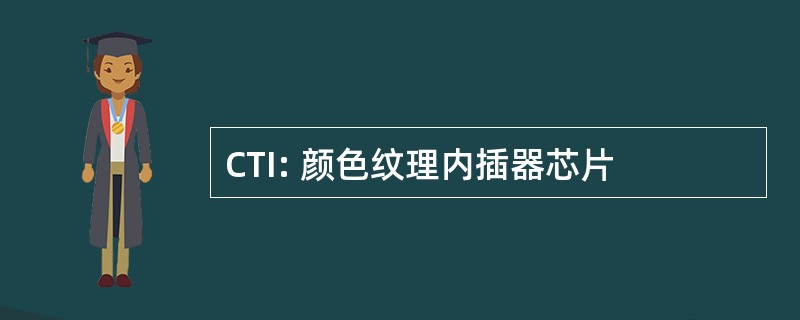 CTI: 颜色纹理内插器芯片