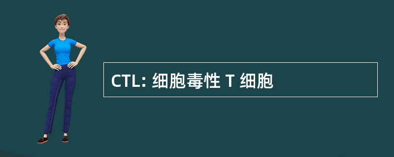 CTL: 细胞毒性 T 细胞