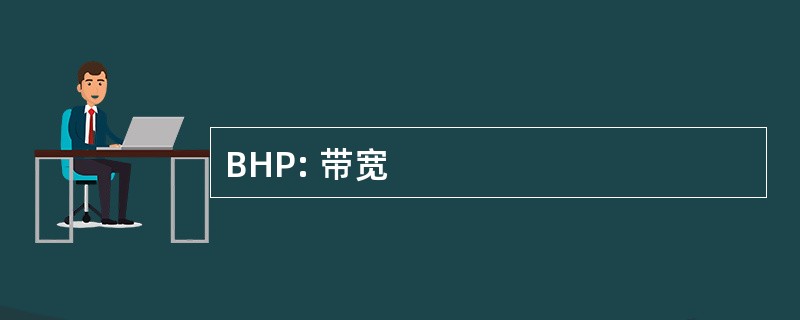 BHP: 带宽