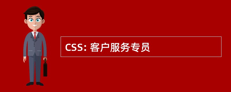 CSS: 客户服务专员