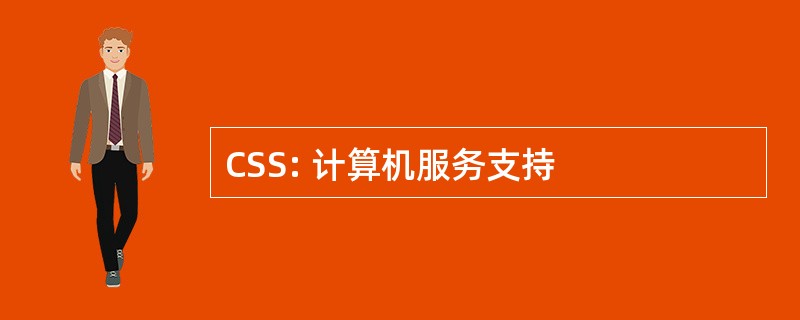 CSS: 计算机服务支持