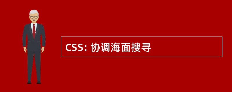 CSS: 协调海面搜寻