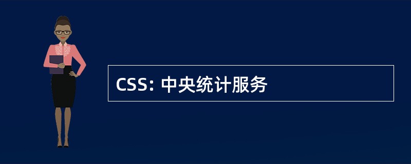 CSS: 中央统计服务