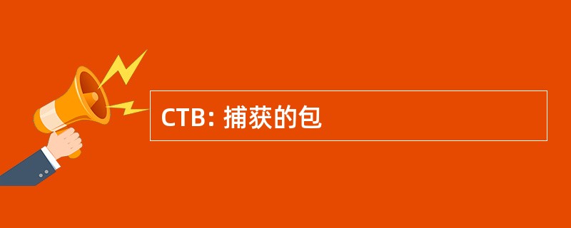 CTB: 捕获的包