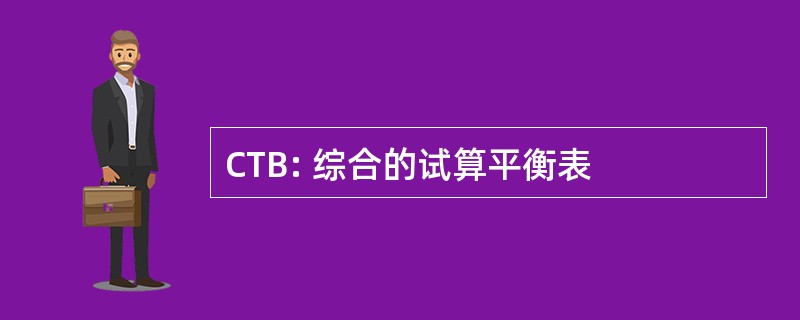 CTB: 综合的试算平衡表