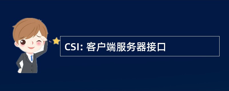 CSI: 客户端服务器接口