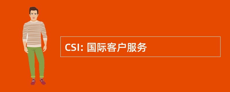 CSI: 国际客户服务