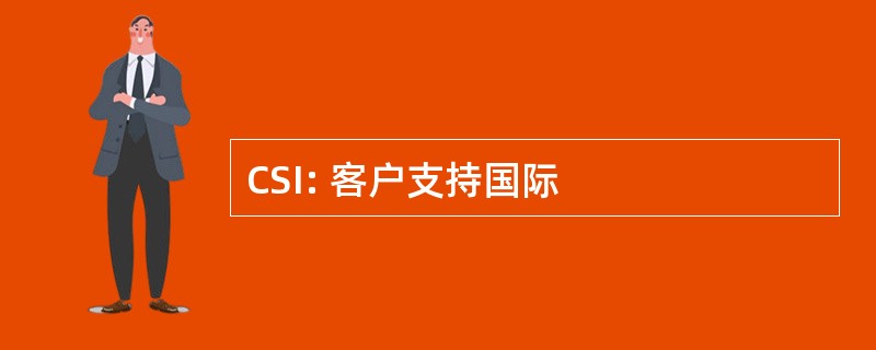 CSI: 客户支持国际