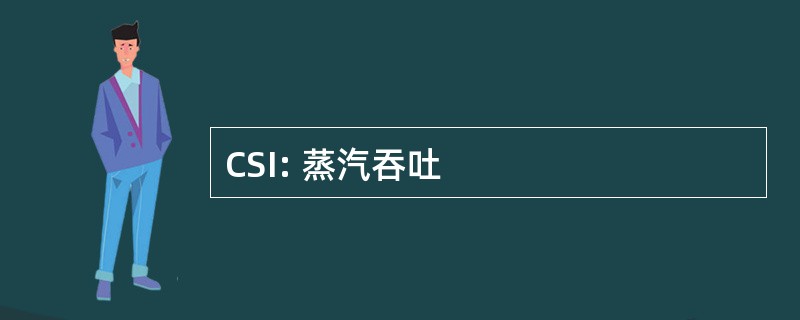 CSI: 蒸汽吞吐