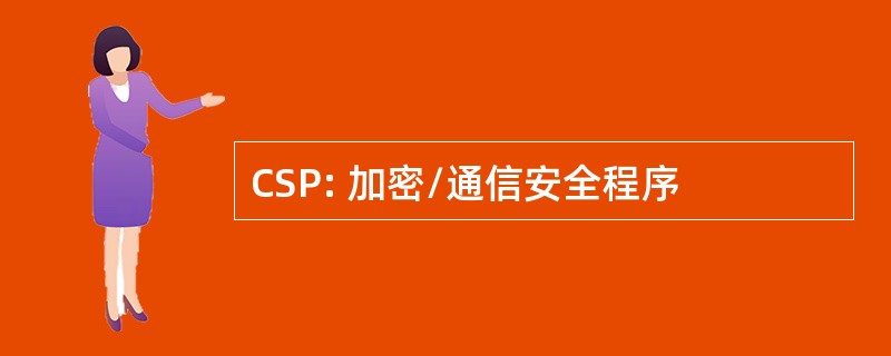 CSP: 加密/通信安全程序