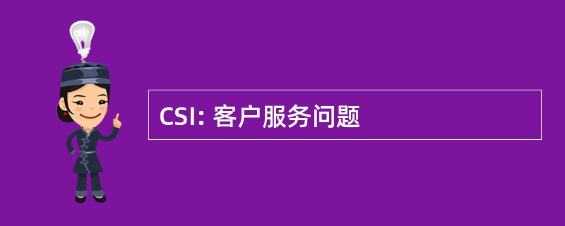 CSI: 客户服务问题