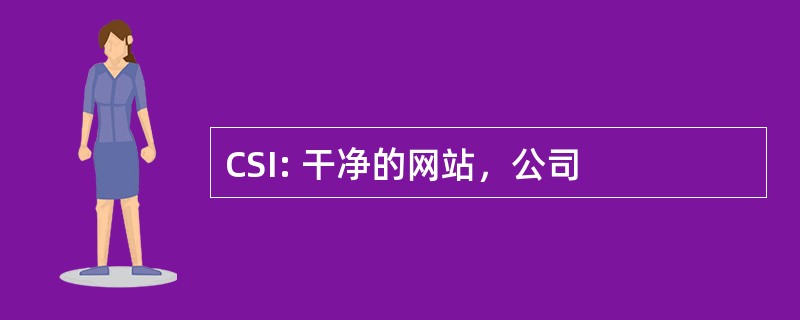 CSI: 干净的网站，公司