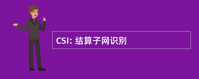 CSI: 结算子网识别