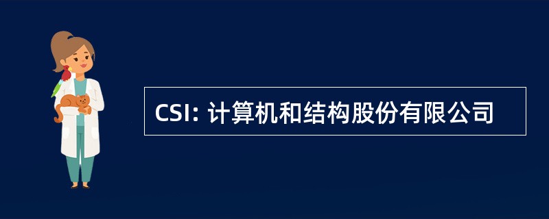 CSI: 计算机和结构股份有限公司