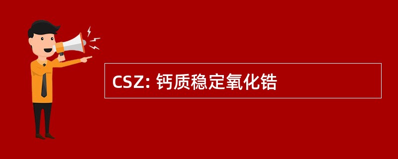 CSZ: 钙质稳定氧化锆