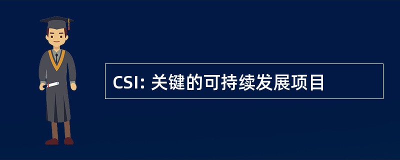 CSI: 关键的可持续发展项目