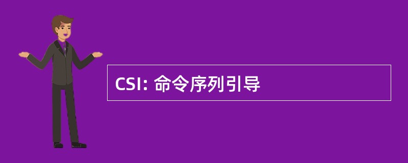 CSI: 命令序列引导