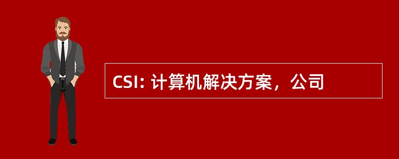 CSI: 计算机解决方案，公司