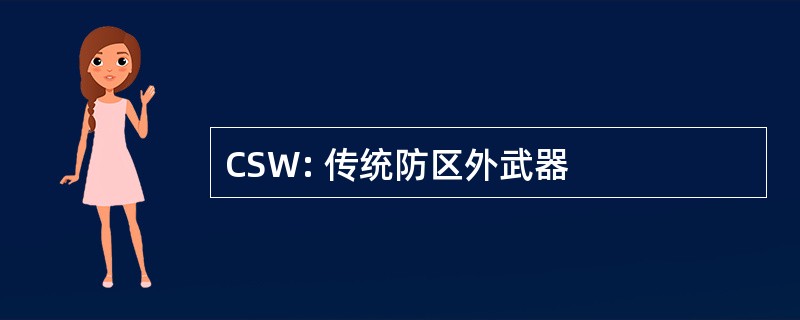 CSW: 传统防区外武器