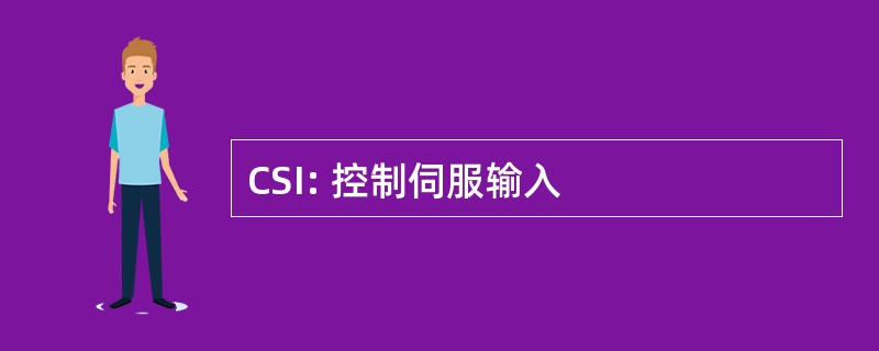 CSI: 控制伺服输入