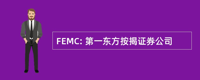 FEMC: 第一东方按揭证券公司