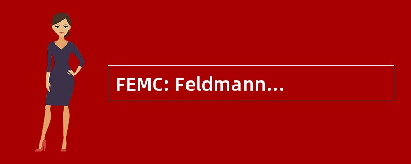 FEMC: Feldmann 工程 & 制造公司