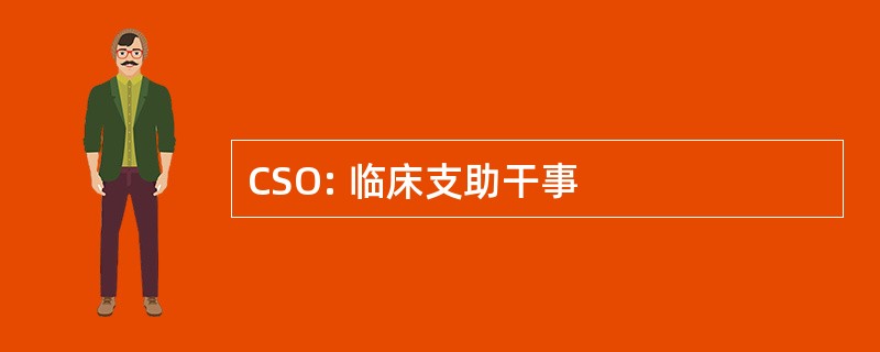 CSO: 临床支助干事